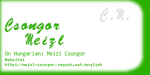 csongor meizl business card